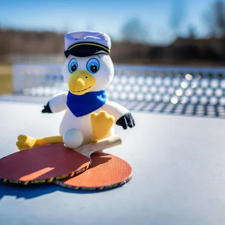 Tatil Evi Lagovida Hafenhaus N Am Stoermthaler *